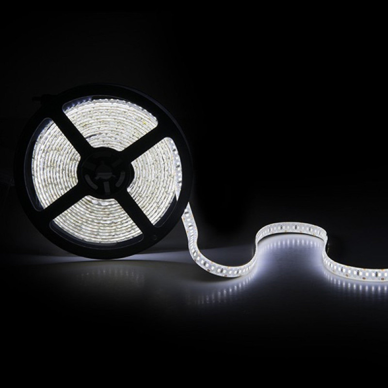 Tira de 204 LEDs/M 60W 5.000Lm CRI85 6000ºK SMD3014 12VDC IP65 x5M 40.000H [CA-3014-204-12W-IP65-CW]-Blanco Frío
