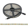 Tira de 300 LEDs 72W 4.200Lm CRI85 6000ºK SMD5050 12VDC IP65 x5M 40.000H  [PL219010W]