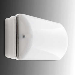 Alumbrado Emergencia LED 60Lm 1 Hora IP65 2.4V 0.8Ah