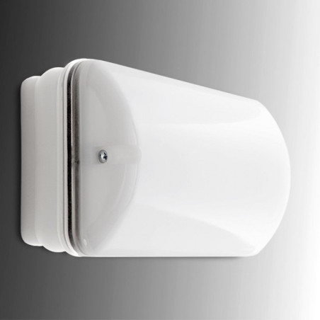 Alumbrado Emergencia LED 60Lm 1 Hora IP65 2.4V 0.8Ah