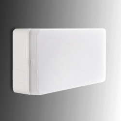 Alumbrado Emergencia LED Esera 500Lm 1 Hora IP44