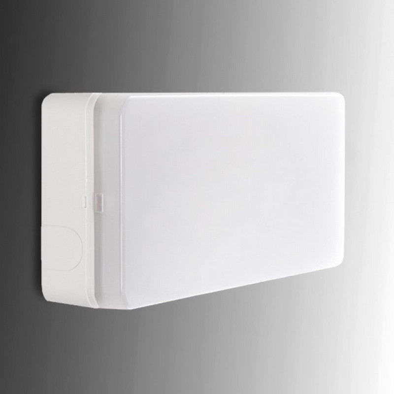 Alumbrado Emergencia LED Esera 60Lm 1 Hora IP44