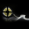 Tira de 204 LEDs/M 60W 5.000Lm CRI85 6000ºK SMD3014 12VDC IP20 x5M 40.000H [CA-3014-204-12W-IP20-CW]-Blanco Frío