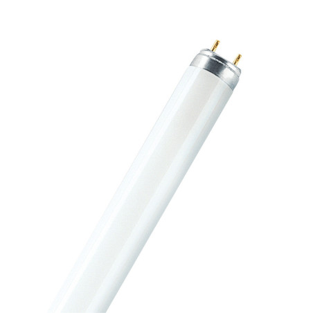 [LVE-4050300010533] Ledvance/Osram Tubo Fluorescente Tradicional T8 G13 58W 2850Lm  K