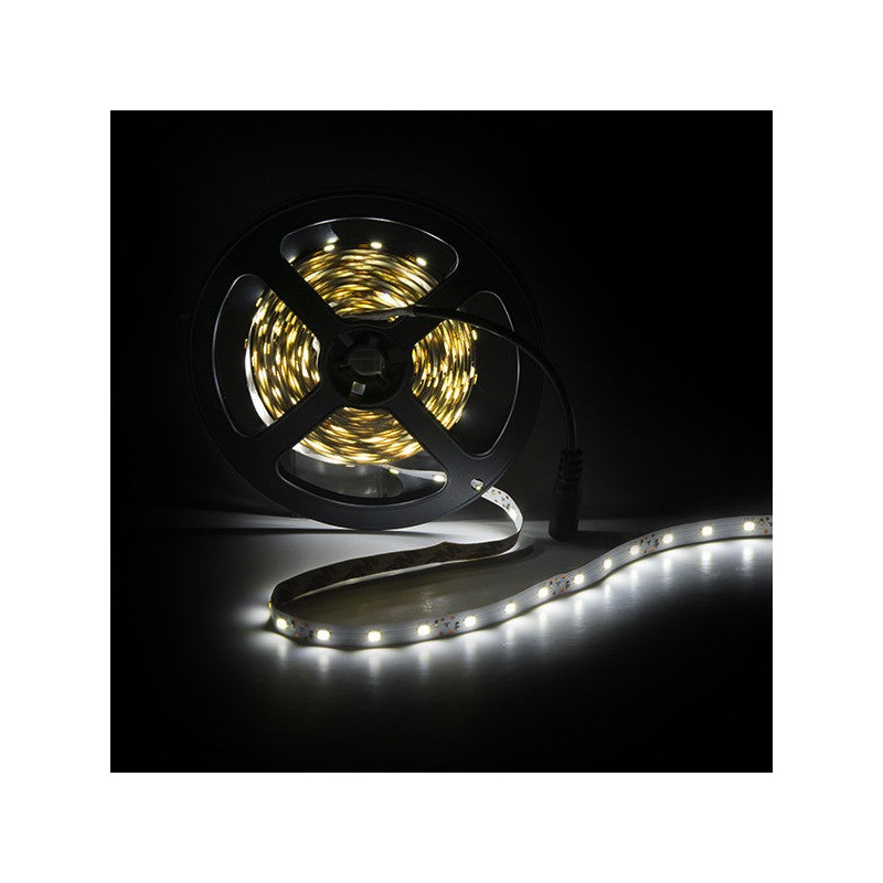 Tira de 300 LEDs 24W 1.200Lm CRI85 6000ºK SMD3528 12VDC x5M 40.000H  [PL219001W]