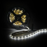 Tira de 300 LEDs 24W 1.200Lm CRI85 6000ºK SMD3528 12VDC x5M 40.000H  [PL219001W]