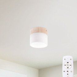 Plafón LED 9W 852Lm Mando a Distancia (Intensidad-CCT) 10.000H  [HO-CCT-DL9W]