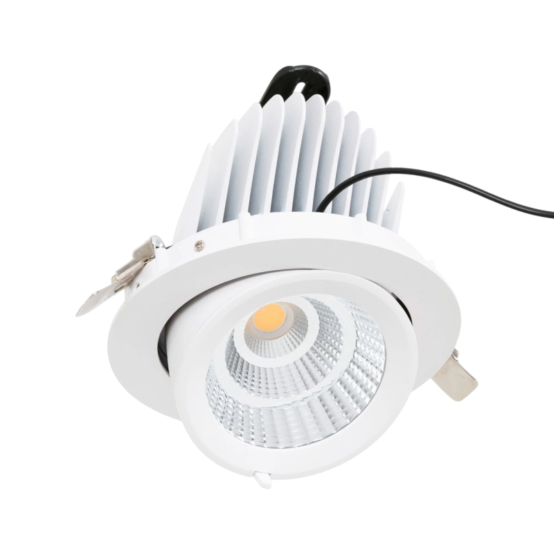 Downlight LED basculante empotrable - Chip especial para carnicerías 40W