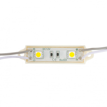 Módulo 0.48W 45Lm 4200ºK 2 LEDs SMD5050 40.000H [US-LMP5050W2-0001]