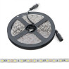 Tira de 300 LEDs 72W 3.780Lm CRI85 6000ºK SMD5050 12VDC x5M 40.000H  [PL219009W]