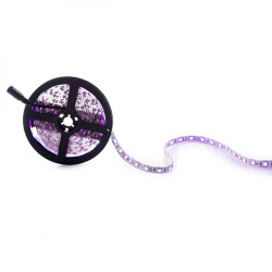 Tira de 300 LEDs 60W 2.100Lm SMD5050 12VDC IP20 Rosa x5M 40.000H   [CA-5050-300-IP25-PI]