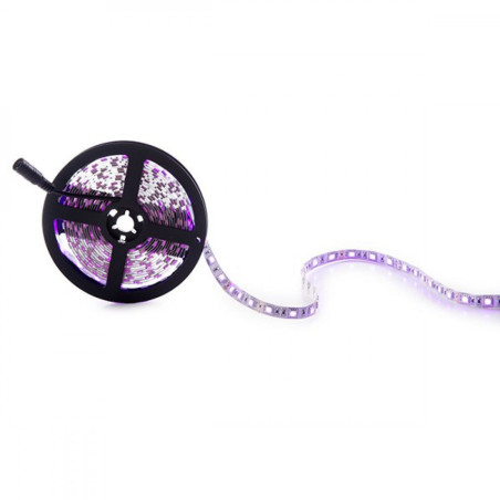 Tira de 300 LEDs 60W 2.100Lm SMD5050 12VDC IP20 Rosa x5M 40.000H   [CA-5050-300-IP25-PI]