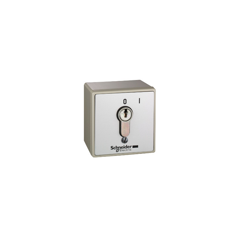 estación de control montada en superficie a prueba de vándalos - XAP-S - cierre ref. XAPS11111N Schneider Electric [PLAZO 8-15 D