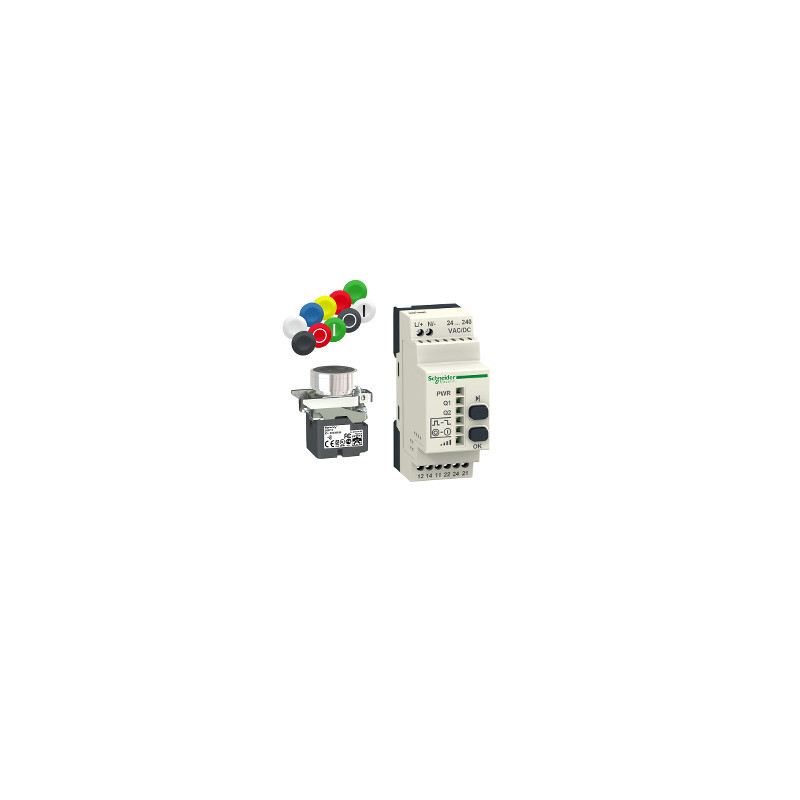 Pack xb4r 22mm receptor programable AC/DC ref. XB4RFA02 Schneider Electric [PLAZO 3-6 SEMANAS]