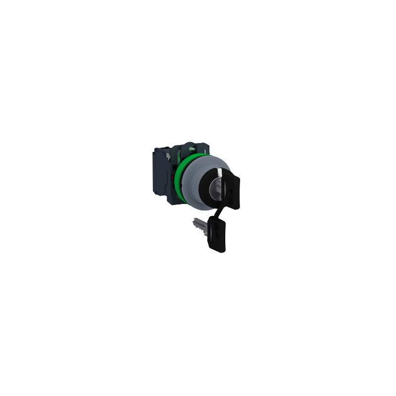 SEL.FLUSH LLAVE 455 3POS.FIJAS 2NA COL.GR. ref. XB5FG03C0 Schneider Electric [PLAZO 3-6 SEMANAS]
