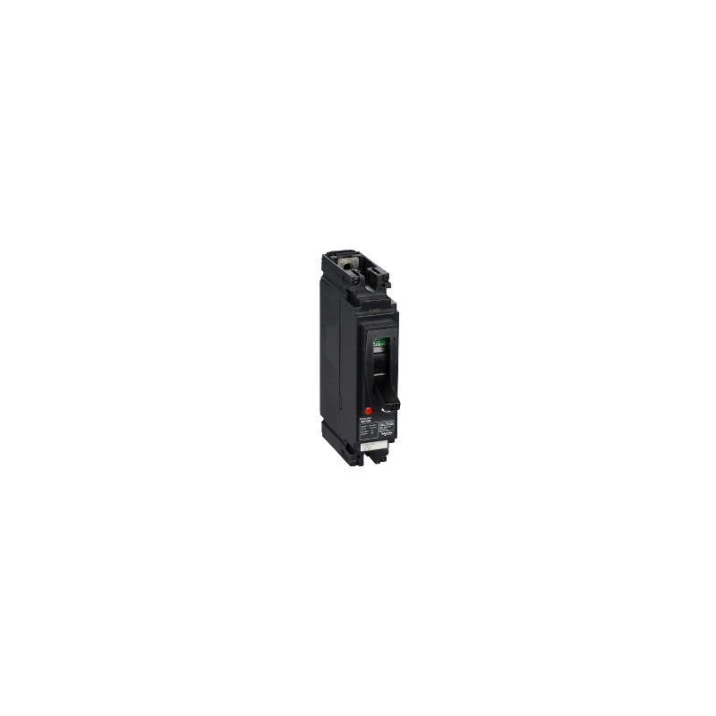 Interruptor automático Compact NSX160M - TMD - 125 A - 1 polo 1d ref. LV438689 Schneider Electric [PLAZO 3-6 SEMANAS]