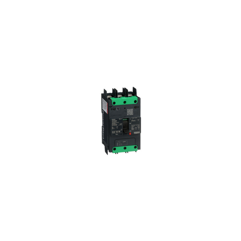 Interruptor automático PowerPact BG 35kA TM60D 3P tornillo ref. BGF36060 Schneider Electric [PLAZO 3-6 SEMANAS]