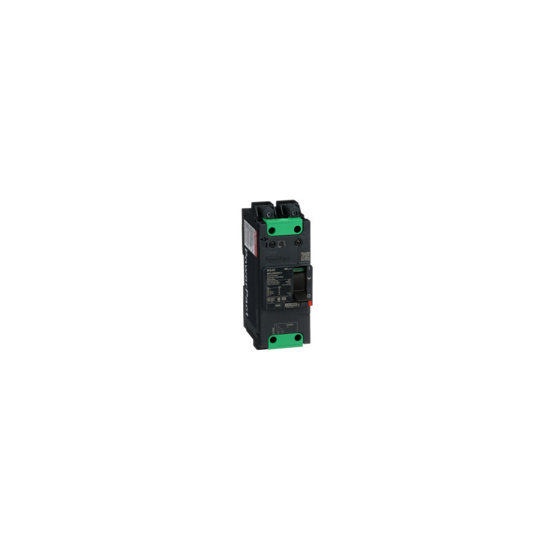 Interruptor automático PowerPact BG 35kA TM40D 2P Elink ref. BGL26040LU Schneider Electric [PLAZO 3-6 SEMANAS]