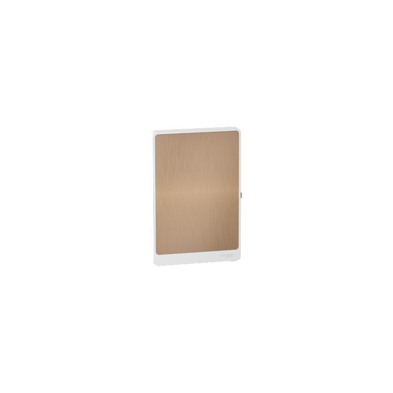 Resi9 Puerta Bronce 2x13 módulos ref. R9H13422L Schneider Electric [PLAZO 3-6 SEMANAS]
