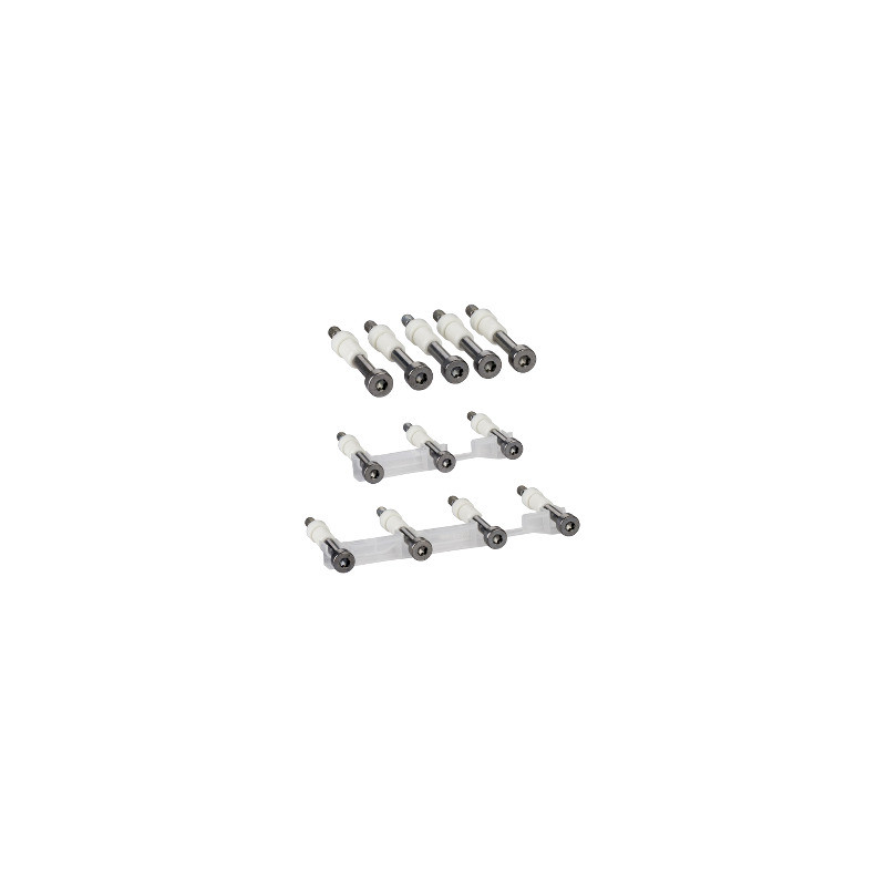 Tornillos con límite apriete - 3 polos/4 polos - para NSX100..250 -juego de 12 ref. LV429513 Schneider Electric [PLAZO 8-15 DIAS