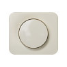 PLACA Y BOTON DIMMER Simon