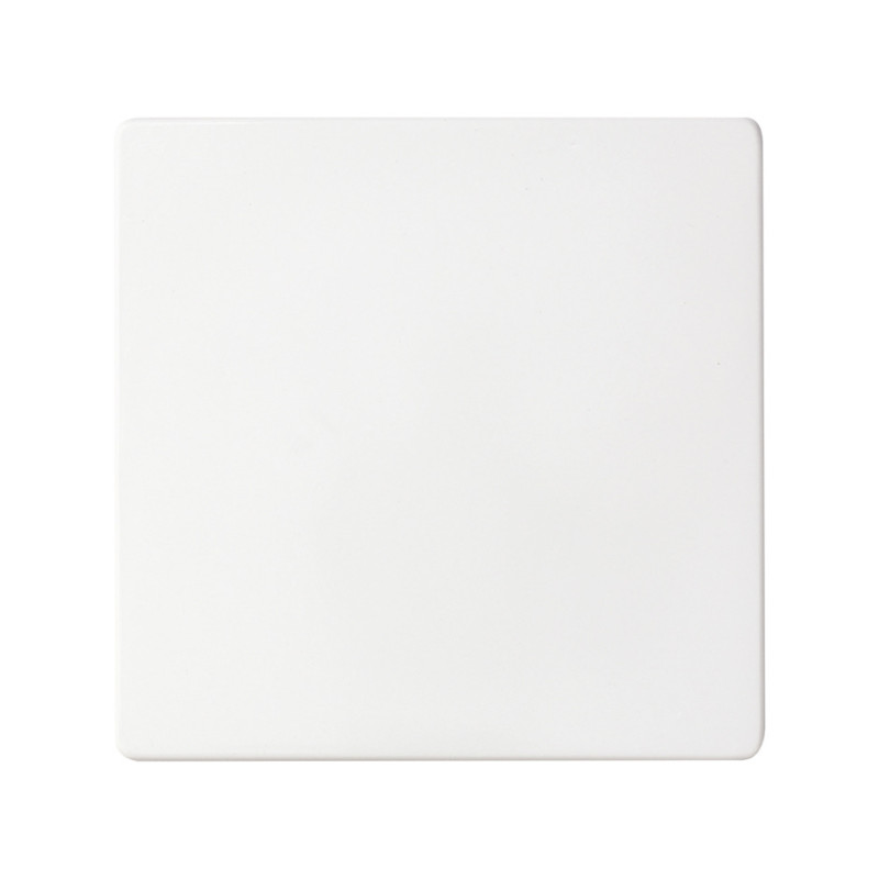 Conmutador 10AX emb. rápido + tecla Simon