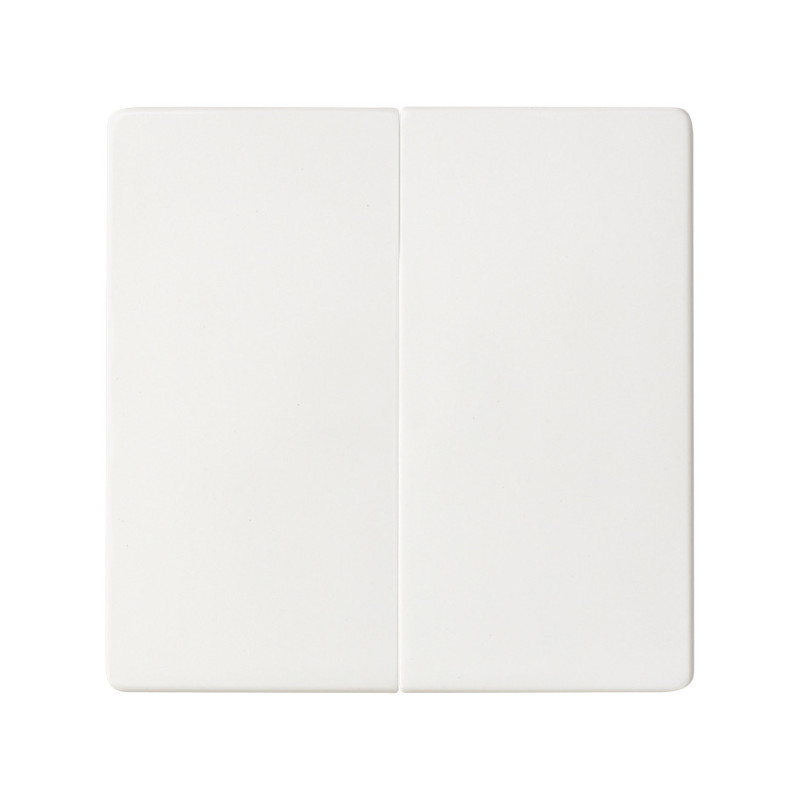 Doble Conmutador 10AX emb. rápido + teclas Simon