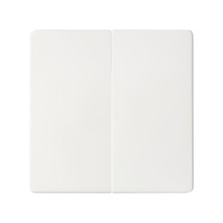 Doble Interruptor 10AX emb. rápido + teclas Simon