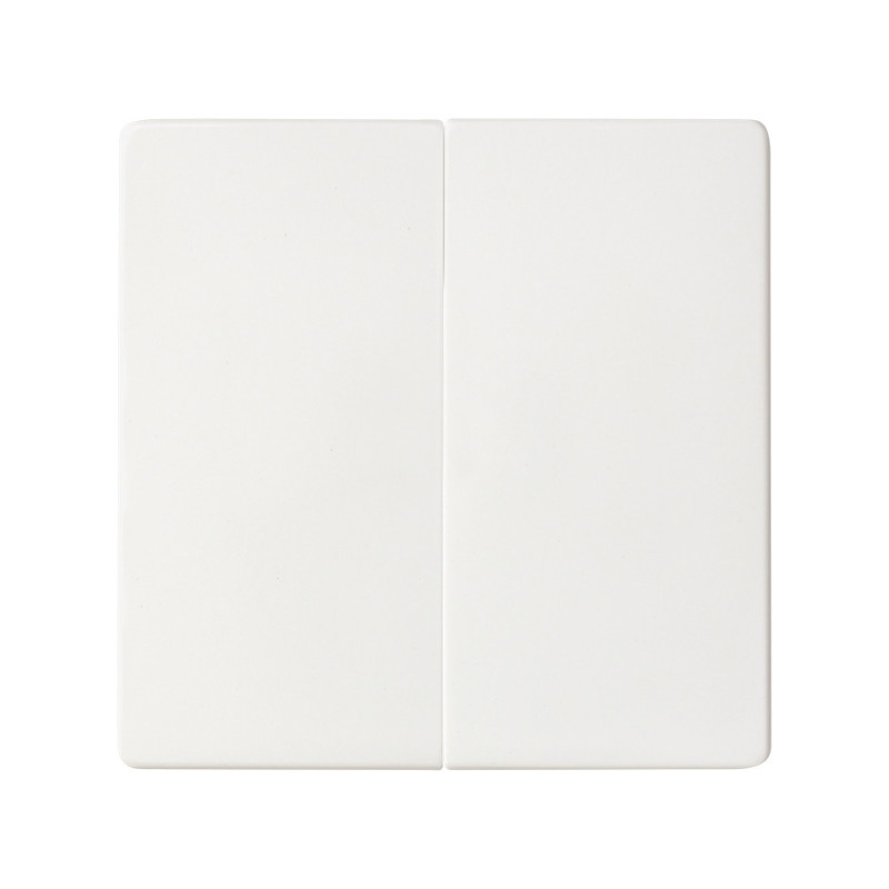 Doble Interruptor 10AX emb. rápido + teclas Simon