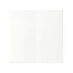 TECLA GRUPO 2 INTERRUP.CONMUT.Y PULSADOR. Simon