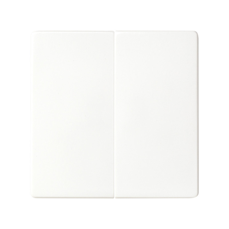 TECLA GRUPO 2 INTERRUP.CONMUT.Y PULSADOR. Simon