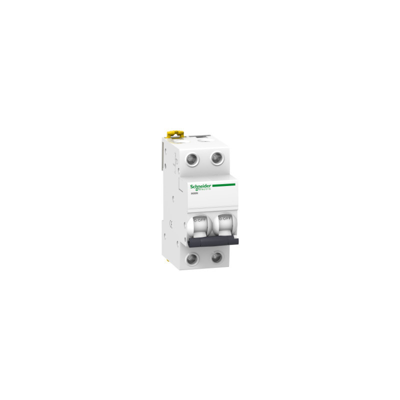 Interruptor automático magnetotérmico - iK60N - 2P - 16 A - curva C ref. A9K17216 Schneider Electric