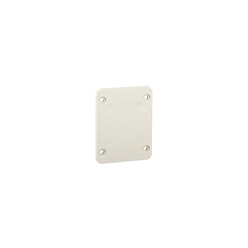 Accesorio Cofret - placa 65 x 85 mm - para salida de 50 x 50 mm ref. 13135 Schneider Electric [PLAZO 3-6 SEMANAS]