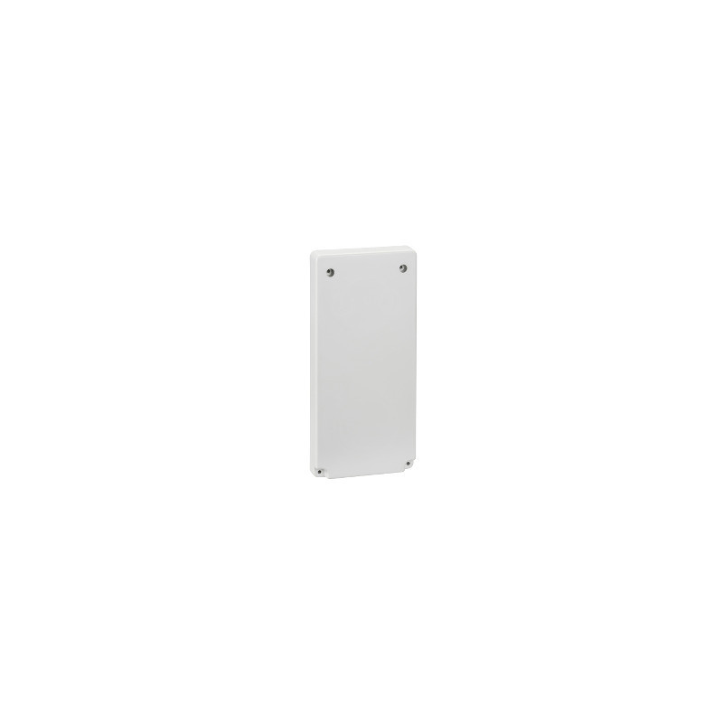 Accesorio Cofret - placa 103 x 225 mm - para salida de 65 x 65 o 75 x 75 mm ref. 13143 Schneider Electric [PLAZO 3-6 SEMANAS]