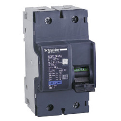 Interruptor automático - NG125LMA - 2P - 4A - curva MA ref. 18868 Schneider Electric [PLAZO 3-6 SEMANAS]