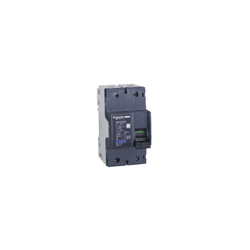 Interruptor automático - NG125LMA - 2P - 40A - curva MA ref. 18874 Schneider Electric [PLAZO 3-6 SEMANAS]