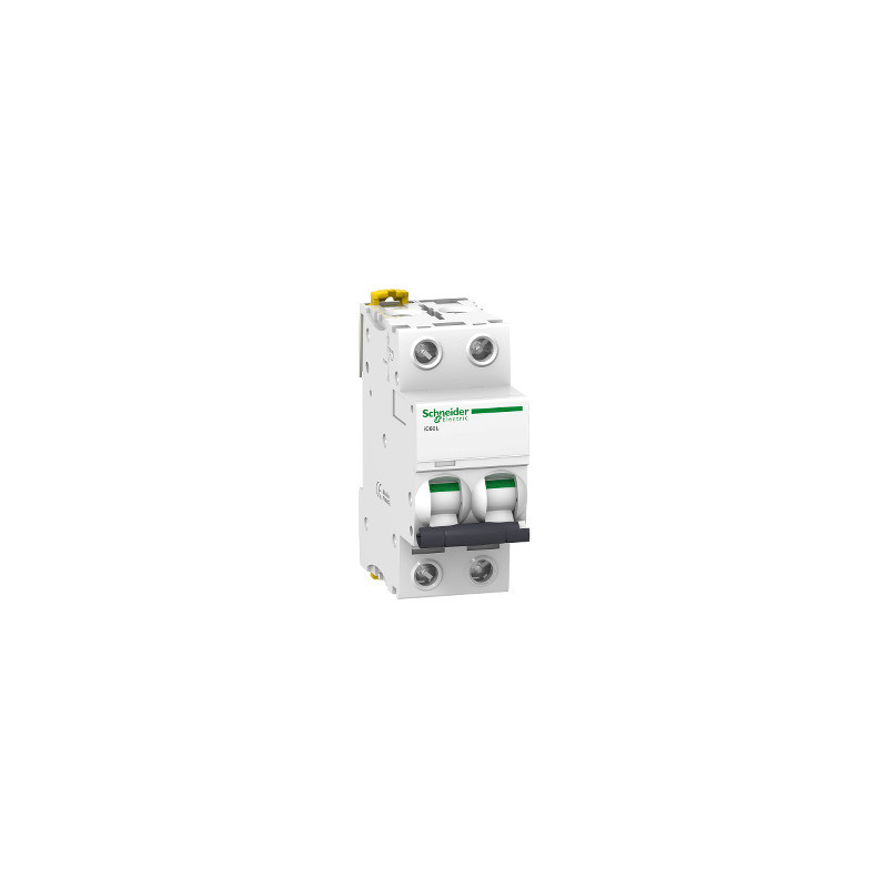Interruptor automático magnetotérmico iC60L - 2P - 4A - curva Z ref. A9F92204 Schneider Electric [PLAZO 3-6 SEMANAS]