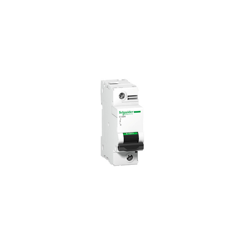 Interruptor automático magnetotérmico C120H - 1P - 100A - curva D ref. A9N18491 Schneider Electric [PLAZO 3-6 SEMANAS]