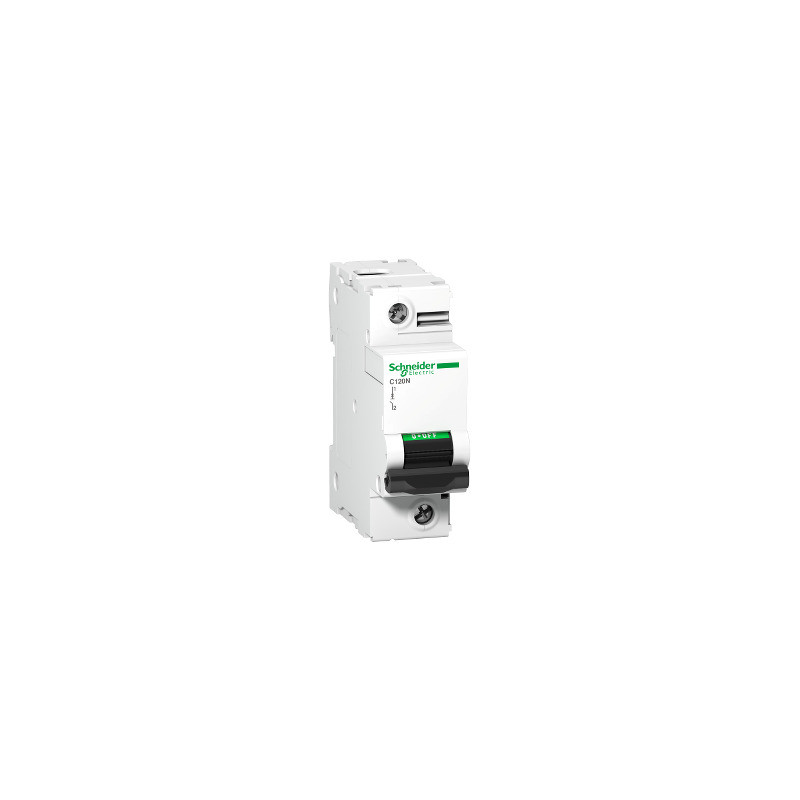 Interruptor automático magnetotérmico C120N - 1P - 100A - curva B ref. A9N18342 Schneider Electric [PLAZO 3-6 SEMANAS]
