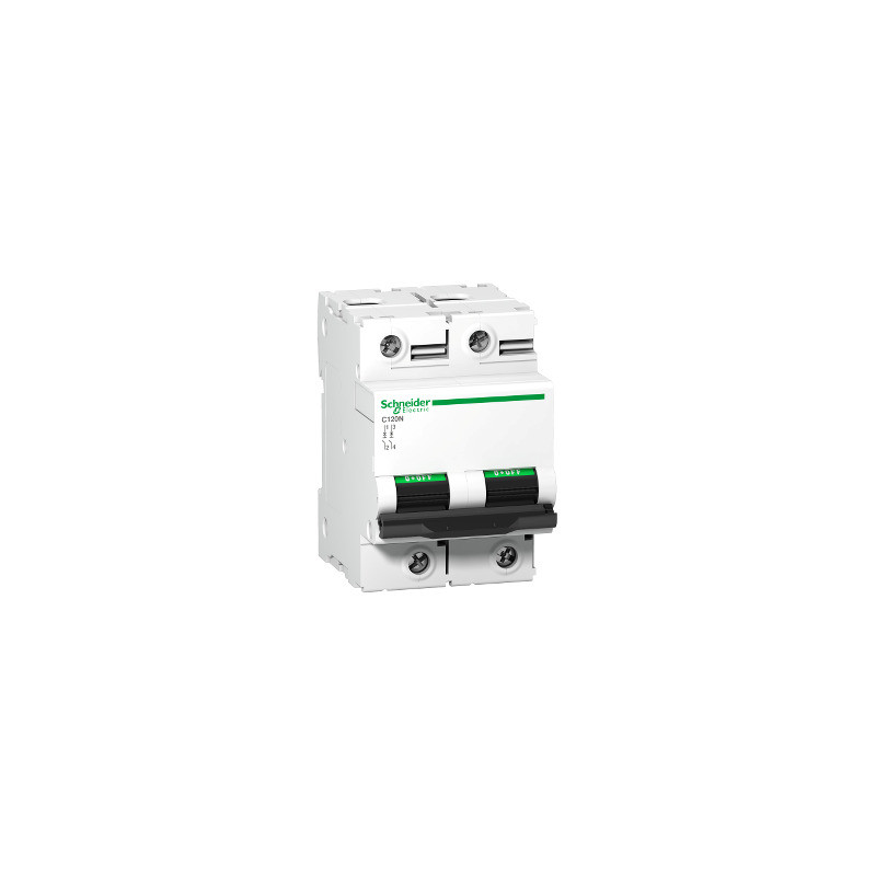 Interruptor automático magnetotérmico C120N - 2P - 63A - curva B ref. A9N18344 Schneider Electric [PLAZO 3-6 SEMANAS]